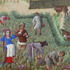 Книжная миниатюра Робине Тестара, Франция, 1480 г.