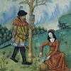 Иллюстрация книги медицинских растений, примерно 1520 г.